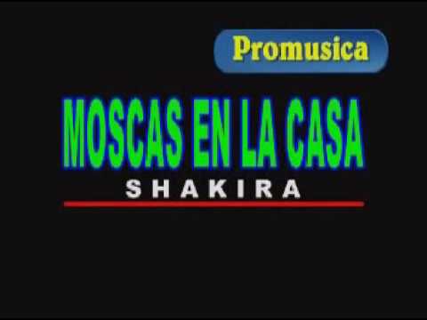 KARAOKE   MOSCA EN LA CASA   SHAQUIRA
