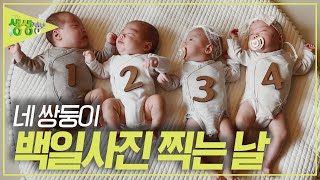 네 명이라 네 배로 행복한 네쌍둥이 백일사진 찍는 날 [2TV 생생정보] KBS 230623 방송