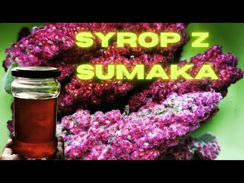 Sumak Octowiec - Syrop zawierający mnóstwo witaminy C