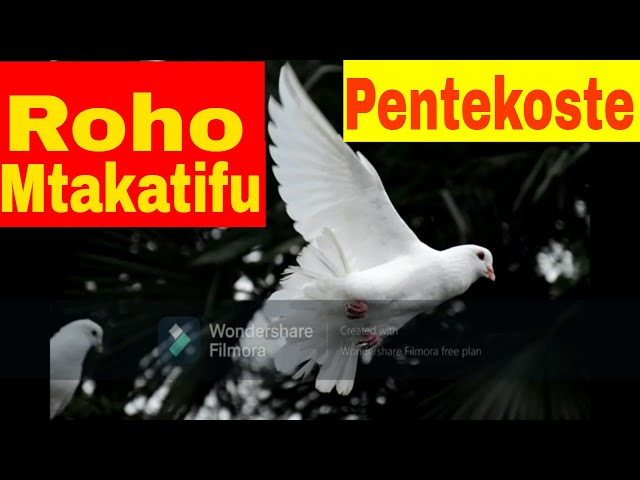 Nyimbo za Roho Mtakatifu(Pentekoste)/Inakuwaje Tunasikia Maneno/Uje Roho(Sekwensia)/Uje Roho uzienee class=