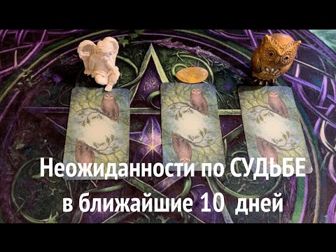 Неожиданности по СУДЬБЕ в ближайшие 10 дней✅ Таро Онлайн Расклад/ Таро DIAMOND WAY