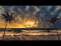 Beach Waves Soundscape Sunset and Palm Trees ||| Relaxing ||| Zen