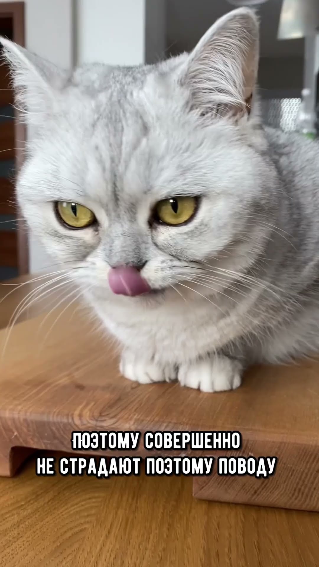 что будет, если не кастрировать своего