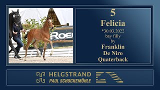 5 - Felicia by Franklin/De Niro - Helgstrand-Schockemöhle Auction on June 4th 2022