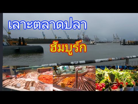 วีดีโอ: ตลาดปลาฮัมบูร์ก