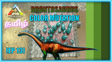 BRONTOSAURUS COLOR MUTATIONS | ARK MOBILE | MUTATIONS EP 13 | MR RAPTOR | @RaptorsGamingYT