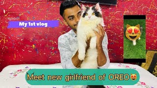 My first vlog ❤️meet new girlfriend of oreo 😻|| The cat house  #cat #catlover by The Cat house  501 views 9 months ago 4 minutes, 55 seconds