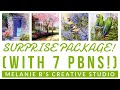 SURPRISE PACKAGE! Unboxing, Reviewing & Swatching 7 PAINT-BY-NUMBERS PBNs