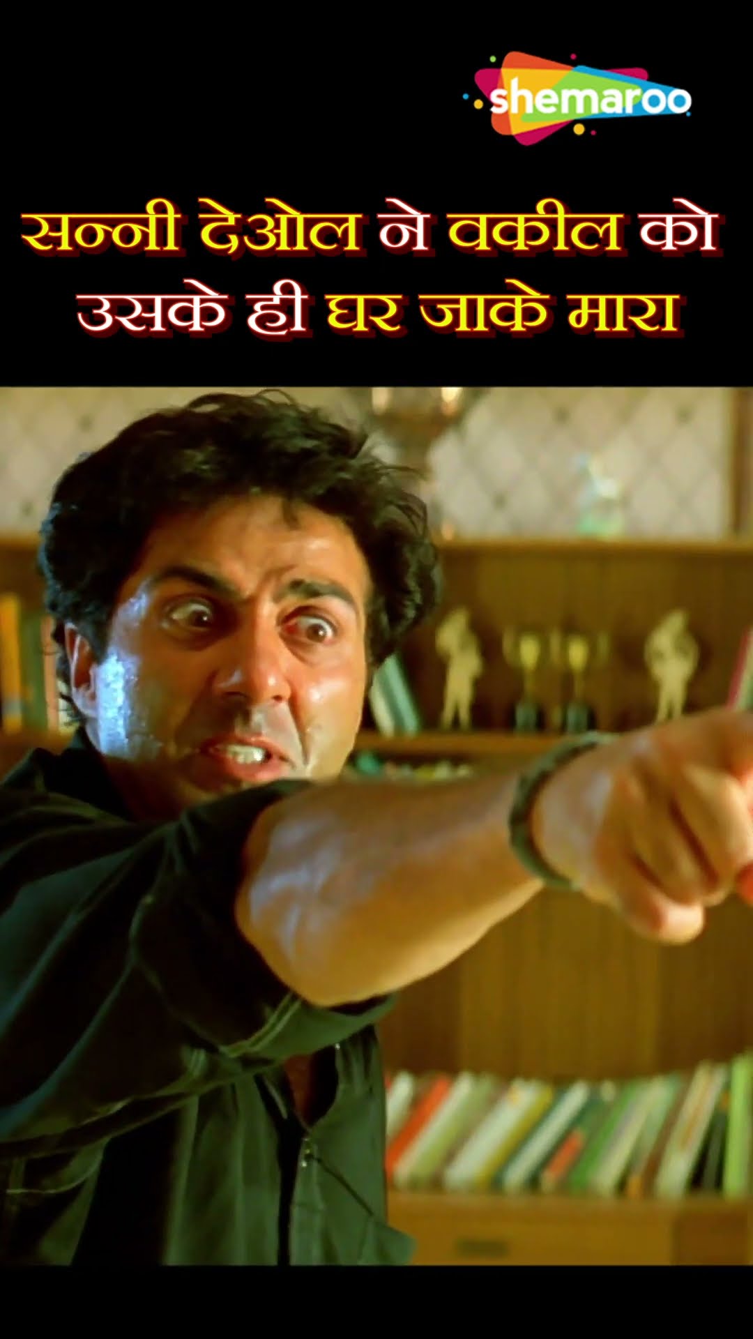 सनी देओल की एक्शन से भरी ब्लॉकबस्टर हिंदी मूवी - #SUNNYDEOL #ACTION #MOVIE #HindiMovie #salaakhen
