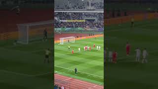 황희찬 골 UAE전 직캠 Hwang Heechan goal vs UAE reaction