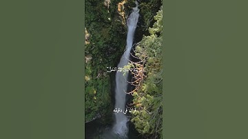 قران كريم ارح قلبك وسمعك #سعد_الغامدي #quran #المصحف #قران #قران_في_دقيقة @قران_في_دقيقة