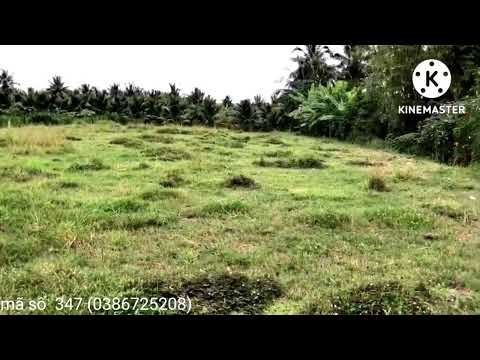 Video mặt tiền 25 m chiều sâu 64 m diện tích là 1.600 mét... - youtube