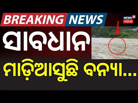 ଗାଁ ଭିତରକୁ ପଶିଆସିଲା ପାଣି... Heavy Rain in Odisha | Weather Update | Rain News Today | Odia News