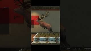 The Hunter call of the wild