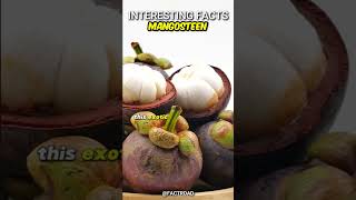 Mangosteen Queen of Fruits - daily facts worth #short
