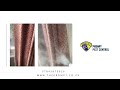 Prompt Pest Control London | Insect Control