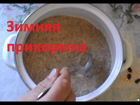 зимняя прикормка для рыбалки своими руками