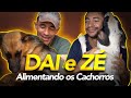 ALIMENTANDO TODOS OS CACHORROS DA CASA! | A CASA DOS BICHOS