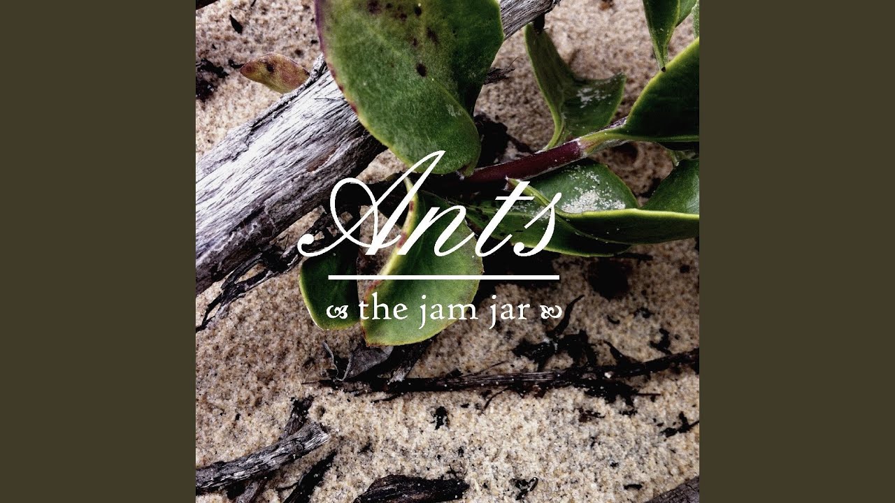 Watch Ants on YouTube Watch Ants on YouTube