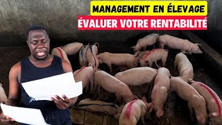 Le Management qu'il vous faut pour réussir en élevage de porc (suivi à distance, évaluation, etc...)