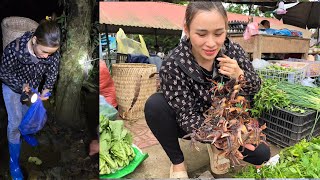 Crab Harvesting At night, in the deep forest, go to the market to sell.  Ly Phu Linh