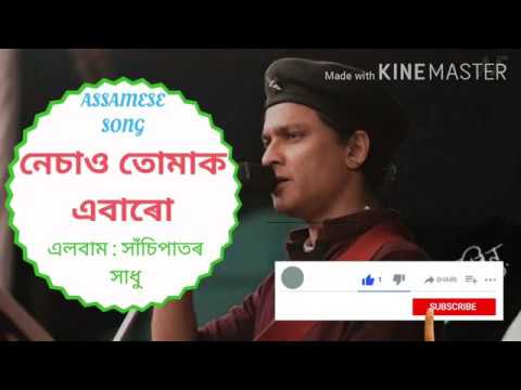 Nesao Tumak Ebaru lyrical video   Zubeen Garg  Gargi Dutta  New Assamese Song  Assam Music Hub