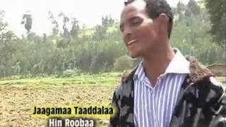 Jaagamaa Taaddalaa   Hin Roobaa (Oromo Music)