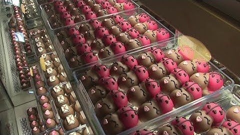 Nibbles and Bits prepares for a Valentine