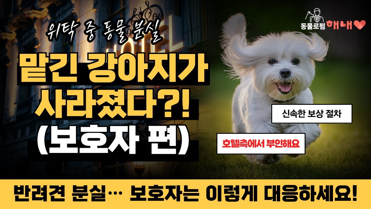 동물변호사가 알려주는 펫호텔에서 강아지가 사라졌을 경우 보호자가 꼭 알아야 할 법적 대응 