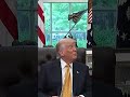 Trump previews White House UFC fight on his birthday