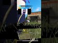 FREE FIRE EDIT VIDEO FUNNY #freefire#lyunaff#funnyvideo