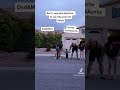 Run in opposite direction to see who your kid(s) love more | TikTok Compilation.