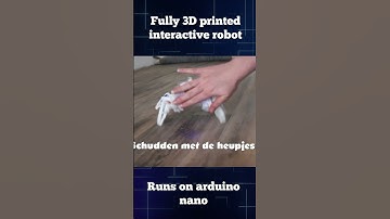 3D printed interactive robot