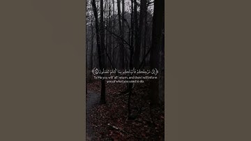 سورة العنكبوت الاية ٨ و ٩ #عبد_الرحمن_مسعد