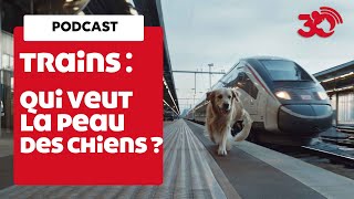 PODCAST - Golden Retriever dans un train SNCF : une ex-élue provoque un tollé by  30 Millions d'Amis 998 views 2 months ago 3 minutes, 36 seconds