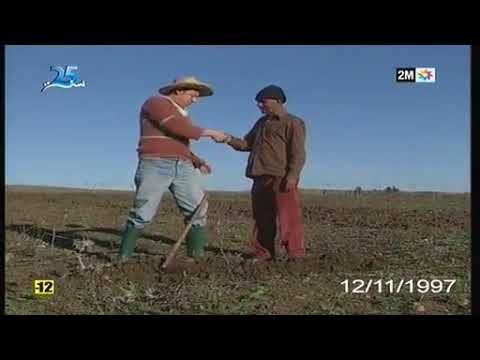 برنامج وقائع مرض الموت