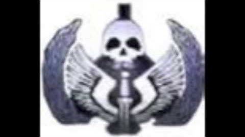 Short MW2 Task Force 141 Spawn Theme