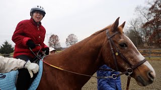 This Unique Stable In Pittstown Improves Lives Through Therapeutic Horseback Riding