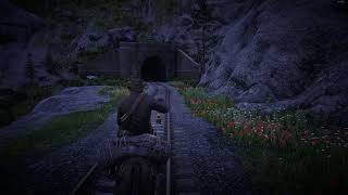 Arthur Morgan gets teleported out of a tunnel by...