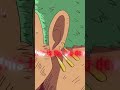 “Zoro felt ALL that pain… and still stood 😤🔥#shorts #onepiece #zoro #anime #viral”