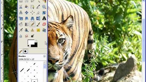 Creating Scroll Saw Portrait Patterns Using GIMP - L3