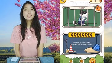 Brain Find Challenge Husky Walkthrough