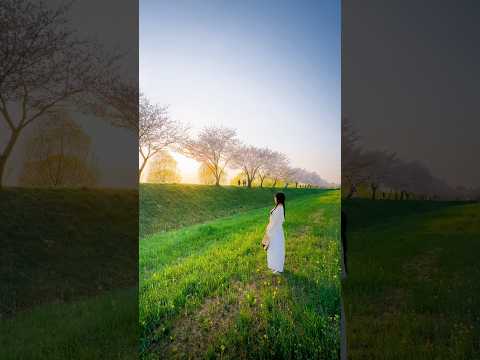 노을빛 스마트폰으로 극적이게 담는 방법 #사진잘찍는법 #사진꿀팁 #사진작가 #사진찍기 #스마트폰카메라 #스마트폰꿀팁 #스마트폰사진 #갤럭시 #아이폰 #폰카 #인물사진 #풍경사진