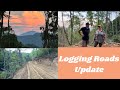 Logging Roads Are Giving Us Access