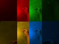 Hand dance 🫶🫶#shorts #youtube #viral #video