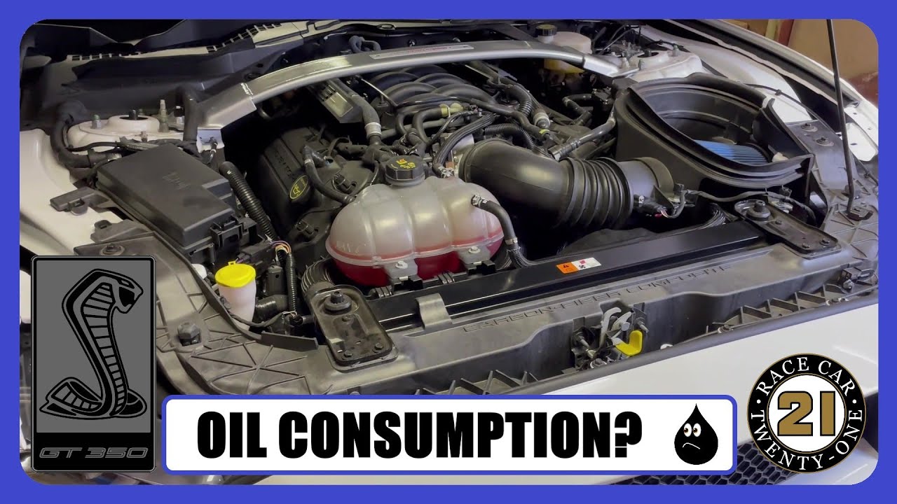 GT350 - Oil Consumption?