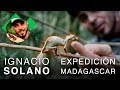 Dragones de Madagascar: el uroplatus phantasticus | Ignacio Solano | Capítulo 4 HD