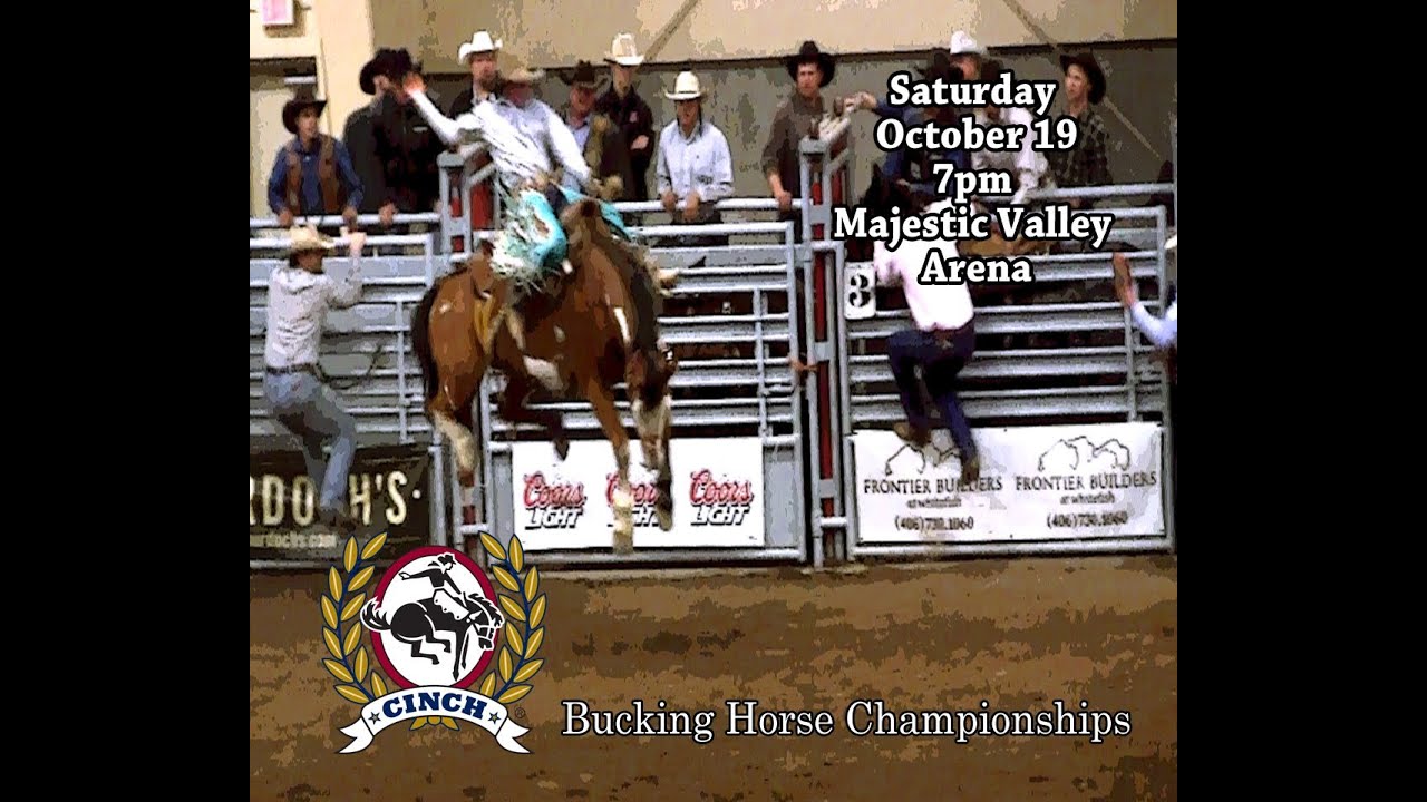 Cinch Bucking Horse Finals YouTube