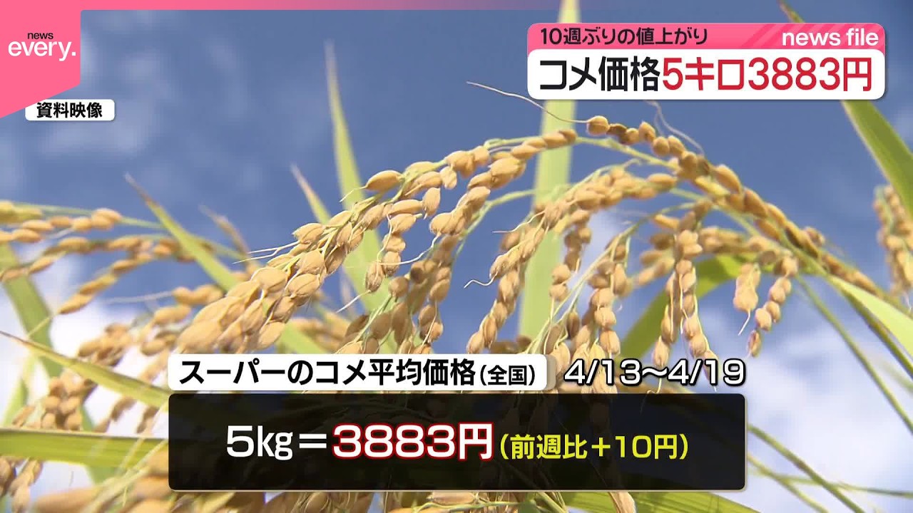【中古】 米価十倍にしなけりゃ日本はつぶれる コメ平均価格】10週ぶりの値上がり 5キロ3883円 - YouTube