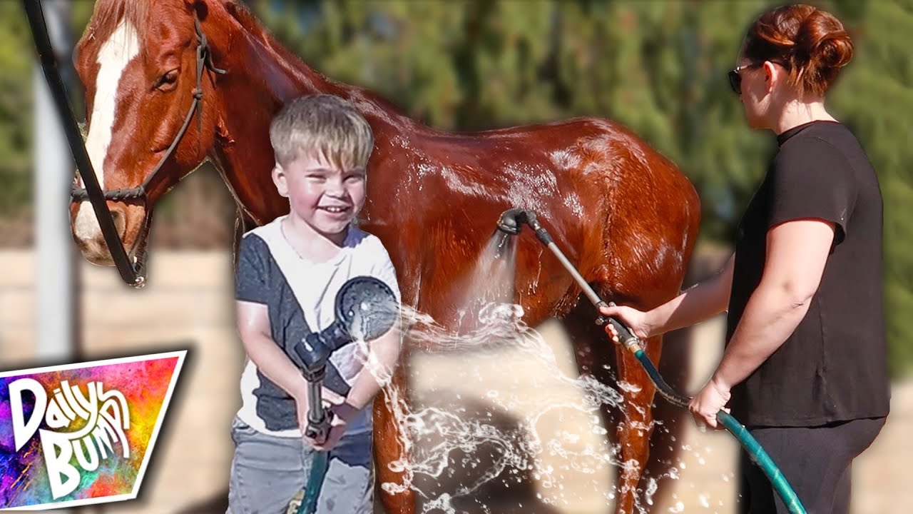 canon definicion First Horse Bath!